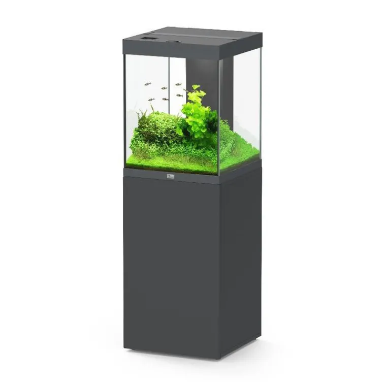 AQUATLANTIS Ensemble aquarium équipé et meuble Tower coloris gris anthracite - 163 L
