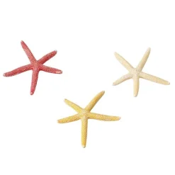 EUROPET Etoile de mer taille S - Ø 10 cm