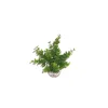 LABEO Eucalyptus vert en plastique moyen modèle 19 cm
