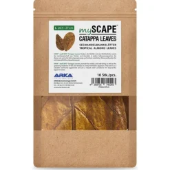 BLUE CORAL Feuilles de badamier taille L - ARKA mySCAPE-Catappa - 20,5/27cm - 10 pièces