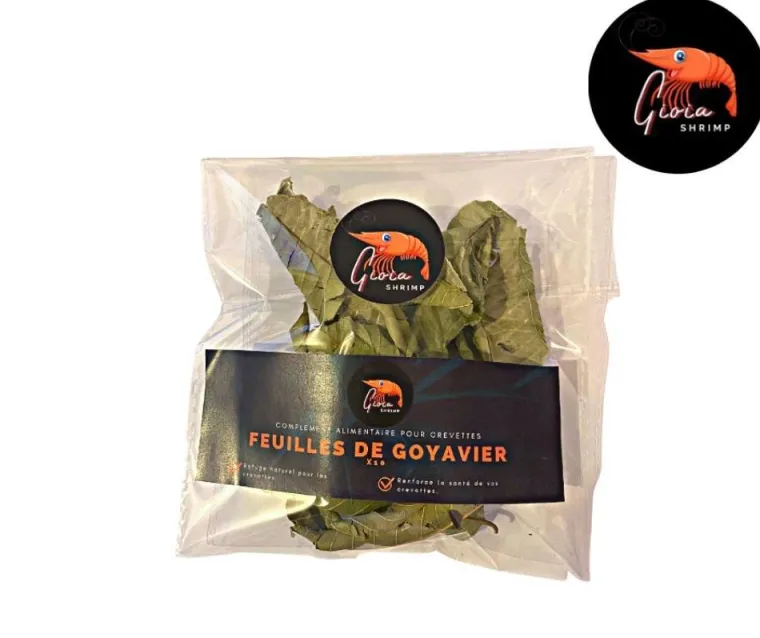 GIOIASHRIMP Feuilles de goyavier pour crevettes d'aquarium – Sachet de 10