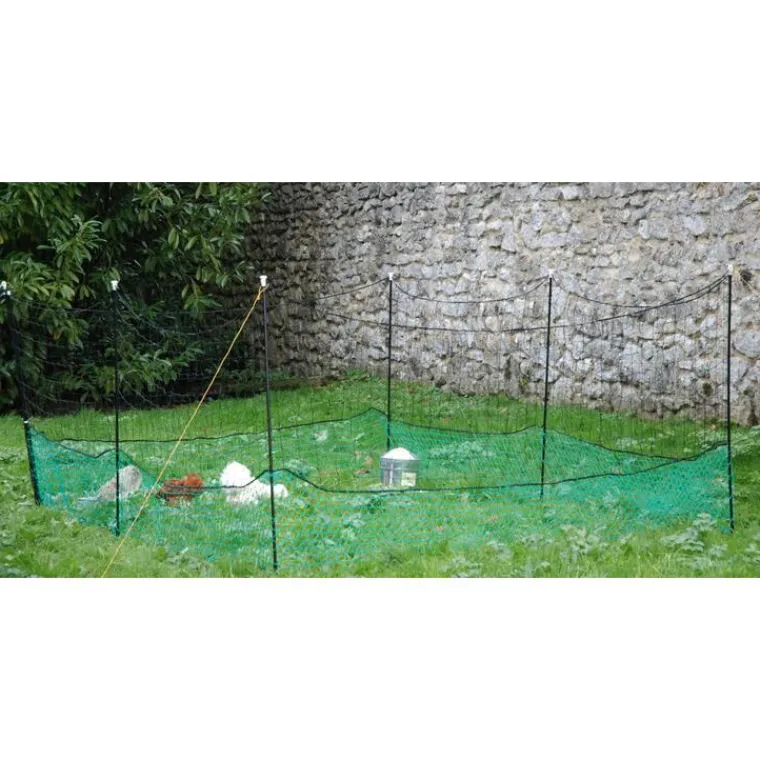 LIFLAND Filet-enclos pour poules petit modèle H 125 cm x 12 m