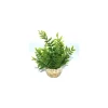 LABEO Fougère verte en plastique petit modèle 18 cm