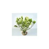 LABEO Fucus vert en plastique 15 cm