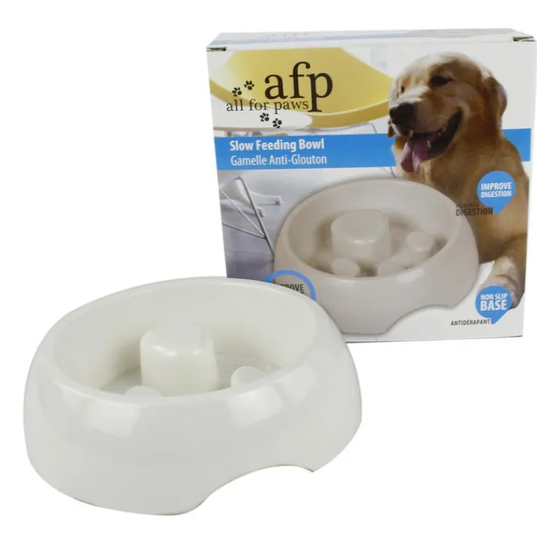 ALL FOR PAWS Gamelle anti glouton pour chien - small
