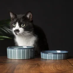 SCRUFFS Gamelle pour chat en grès coloris gris avec rayures Reactive Glaze - 13 x 13 x 3 cm