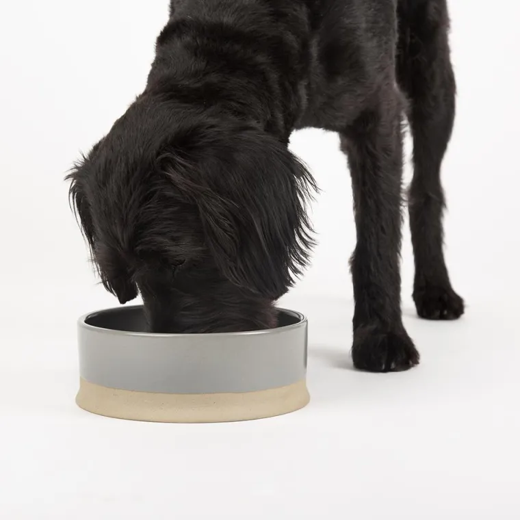 SCRUFFS Gamelle pour chien coloris gris en grès Scandi – 20 x 20 x 7 cm