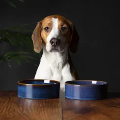 SCRUFFS Gamelle pour chien en grès coloris bleu nuit Reactive Glaze - 19 x 19 x 8 cm