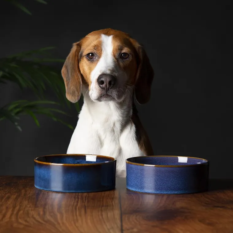 SCRUFFS Gamelle pour chien en grès coloris bleu nuit Reactive Glaze - 19 x 19 x 8 cm