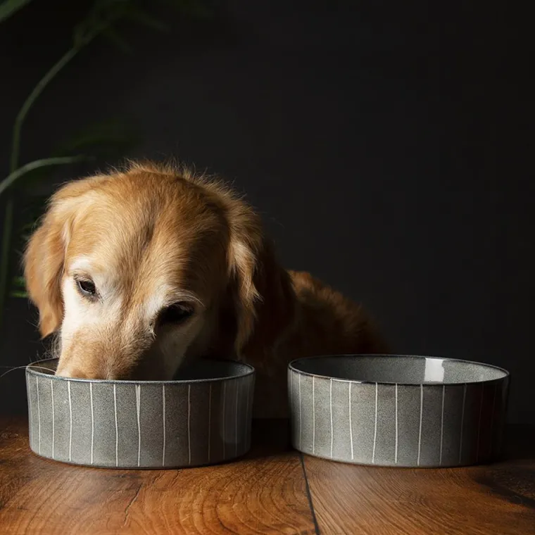 SCRUFFS Gamelle pour chien en grès coloris gris avec rayures Reactive Glaze - 19 x 19 x 8 cm