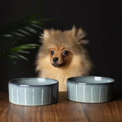 SCRUFFS Gamelle pour chien en grès coloris gris avec rayures Reactive Glaze - 13 x 13 x 5 cm