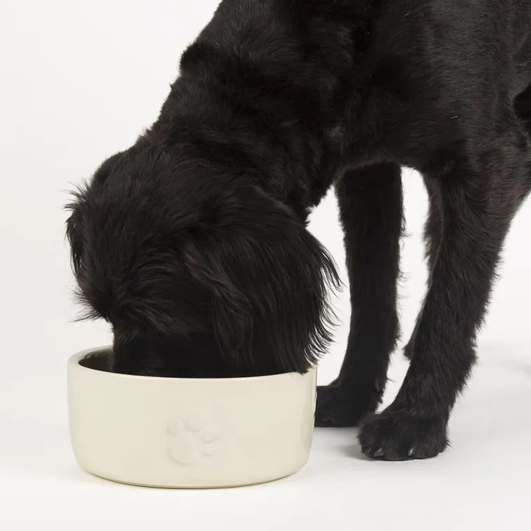 SCRUFFS Gamelle repas pour chien coloris beige clair en grès – 19 x 19 x 8,5 cm