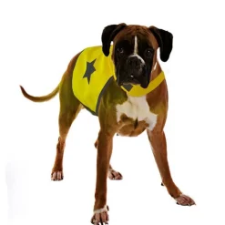 EUROPET Gilet de sécurité jaune fluo pour chien 56 cm