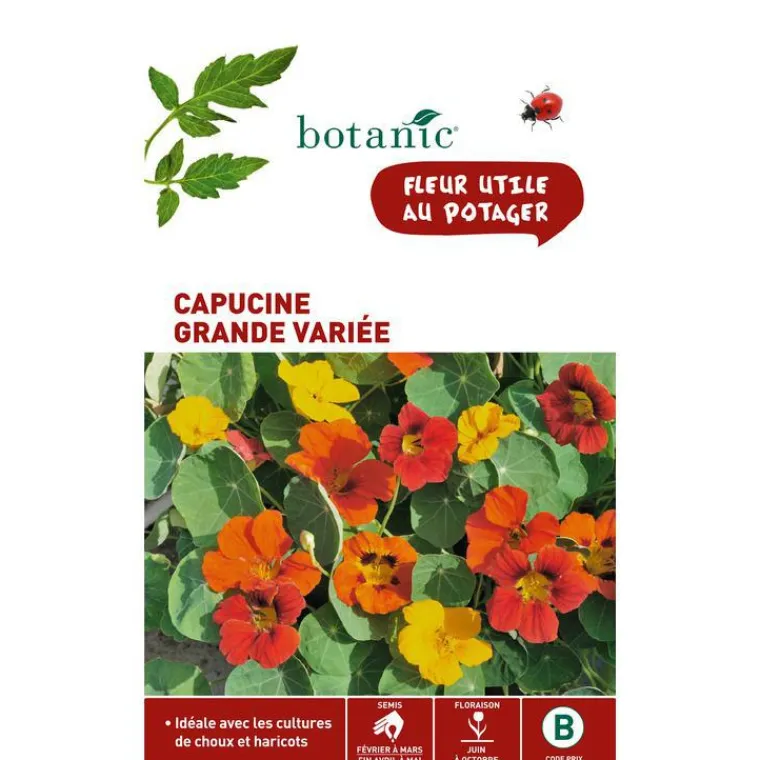 BOTANIC® Graines de capucine grande variée - graines à semer
