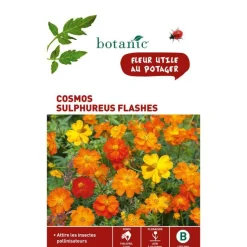 BOTANIC® Graines de cosmos sulphureus flashe orange - graines à semer
