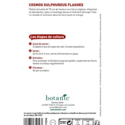 BOTANIC® Graines de cosmos sulphureus flashe orange - graines à semer
