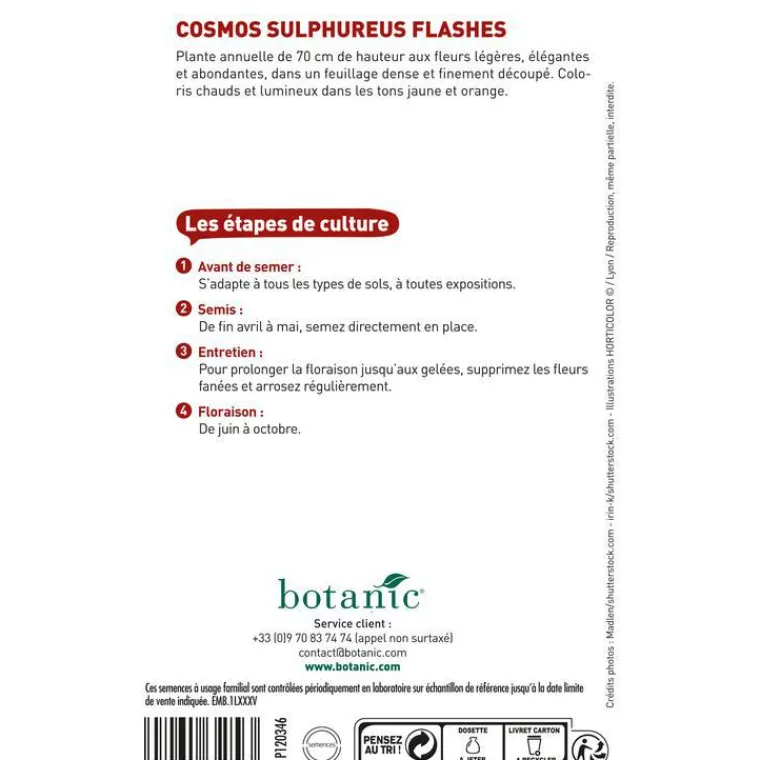 BOTANIC® Graines de cosmos sulphureus flashe orange - graines à semer