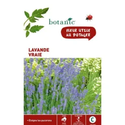BOTANIC® Graines de lavande variée - graines à semer