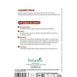 BOTANIC® Graines de lavande variée - graines à semer