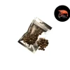 GIOIASHRIMP Graines de moringa pour les crevettes d'aquarium – sachet de 50