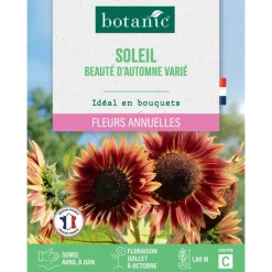 BOTANIC® Graines de soleil beauté d'automne varié - graines à semer