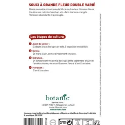 BOTANIC® Graines de souci à grande fleur double varié - graines à semer