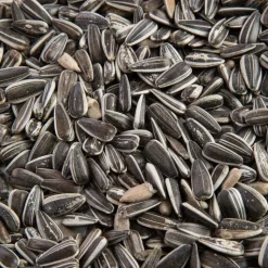 GRAIN DE VIE Graines de tournesol striées pour oiseaux - 12 kg