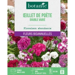 BOTANIC® Graines d'œillet de poète double varié - graines à semer