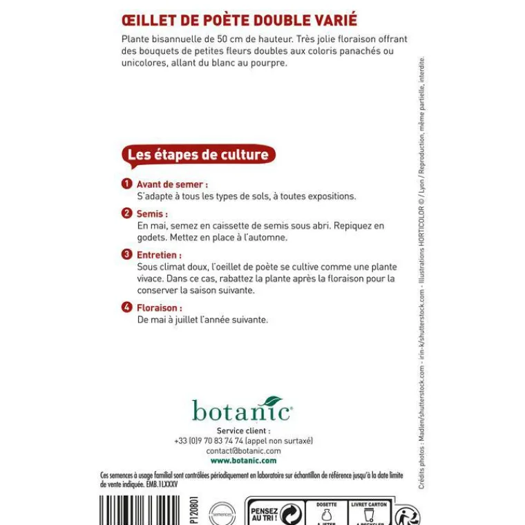 BOTANIC® Graines d'œillet de poète double varié - graines à semer