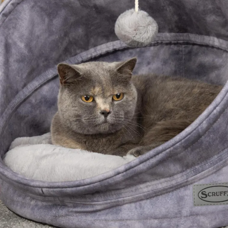 SCRUFFS Grotte pour chat gris Kensington – Taille 44 x 44 x 48 cm