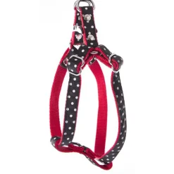 MARTIN SELLIER Harnais baudrier Pois pour chien coloris noir - S