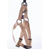 MARTIN SELLIER Harnais baudrier réglable beige pour chien - 2,5x70/90 cm