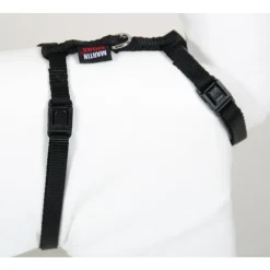 MARTIN SELLIER Harnais chat nylon noir 1-35/50 cm