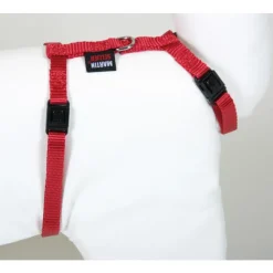 MARTIN SELLIER Harnais chat nylon rouge 1-35/50 cm