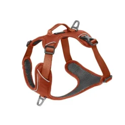 KYFLIE Harnais Momentum Taille 1 Circonférence cage thoracique 33-44cm Cuivre