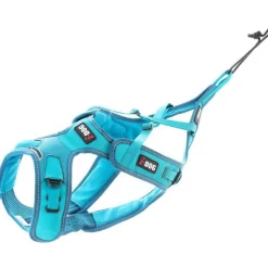I-DOG Harnais pour chien coloris bleu canicross réglable X-Back Phoenix ALM - Taille XS