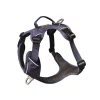 KYFLIE Harnais pour chien coloris bleu foncé Momentum Urban - Taille 2