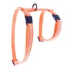 MARTIN SELLIER Harnais Safety orange 35/50 x 1 cm