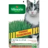 VILMORIN Herbe à chat