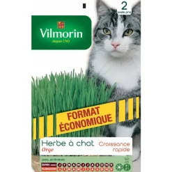 VILMORIN Herbe à chat
