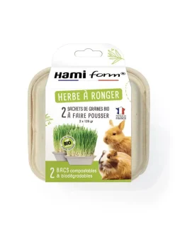 HAMIFORM Herbe à ronger pour lapin et cochon d'Inde Graines Bio - 2 x 125 g