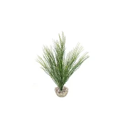 LABEO Herbe corail verte en plastique moyen modèle 22 cm