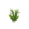 LABEO Herbe papillon verte en plastique 15 cm