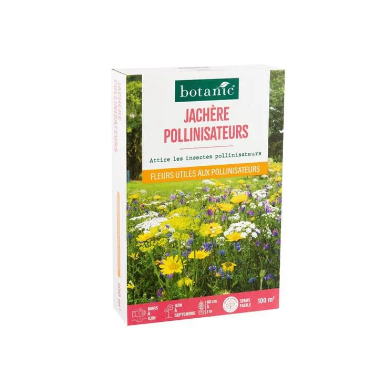 BOTANIC® Jachère pour pollinisateurs - graines à semer (100 m²)