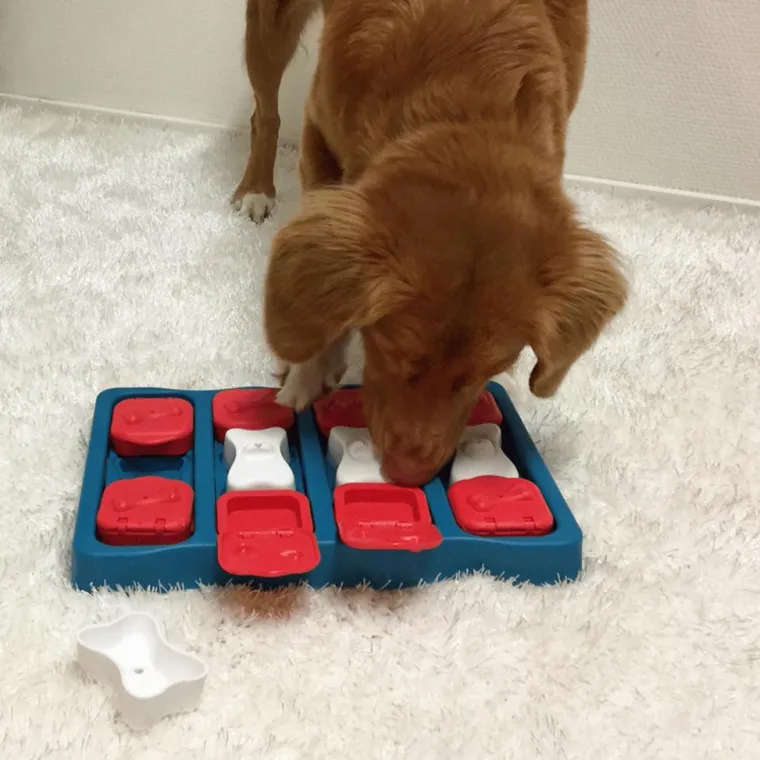 NINA OTTOSSON Jeu d'intelligence pour chien coloris multicolore Treat Brick niveau 2
