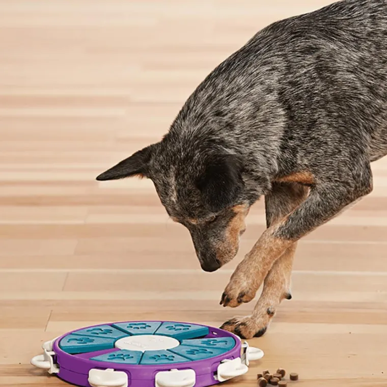 NINA OTTOSSON Jeu d'intelligence pour chien coloris multicolore Twister niveau 3 - Ø 30,5 cm