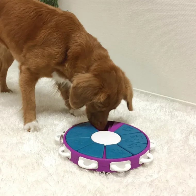 NINA OTTOSSON Jeu d'intelligence pour chien coloris multicolore Twister niveau 3 - Ø 30,5 cm