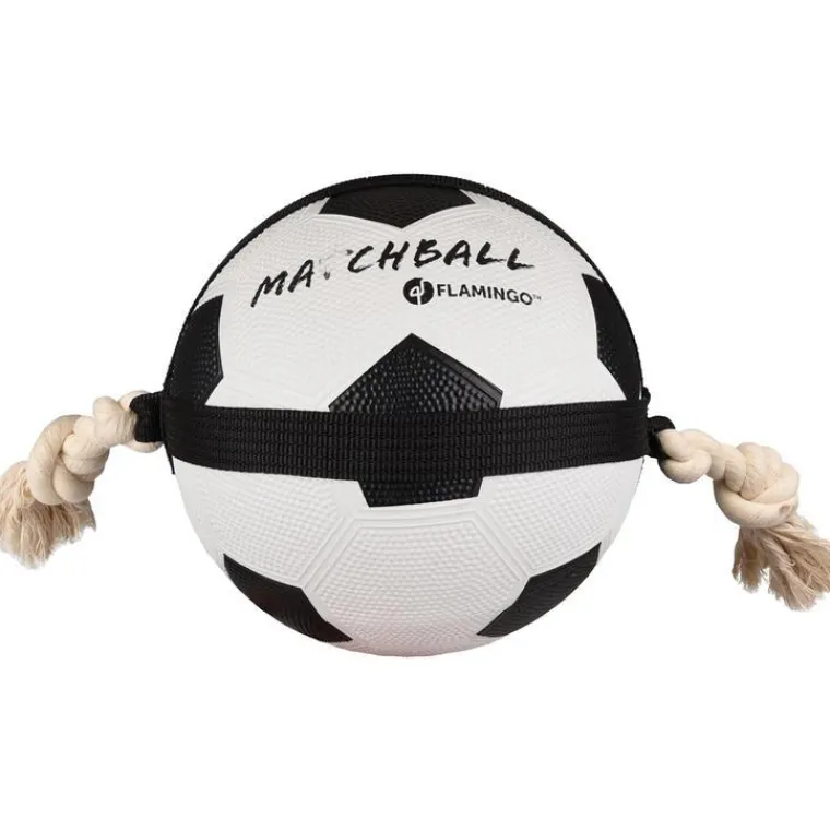 FLAMINGO Jouet pour chien Actionball foot - Ø 22 cm
