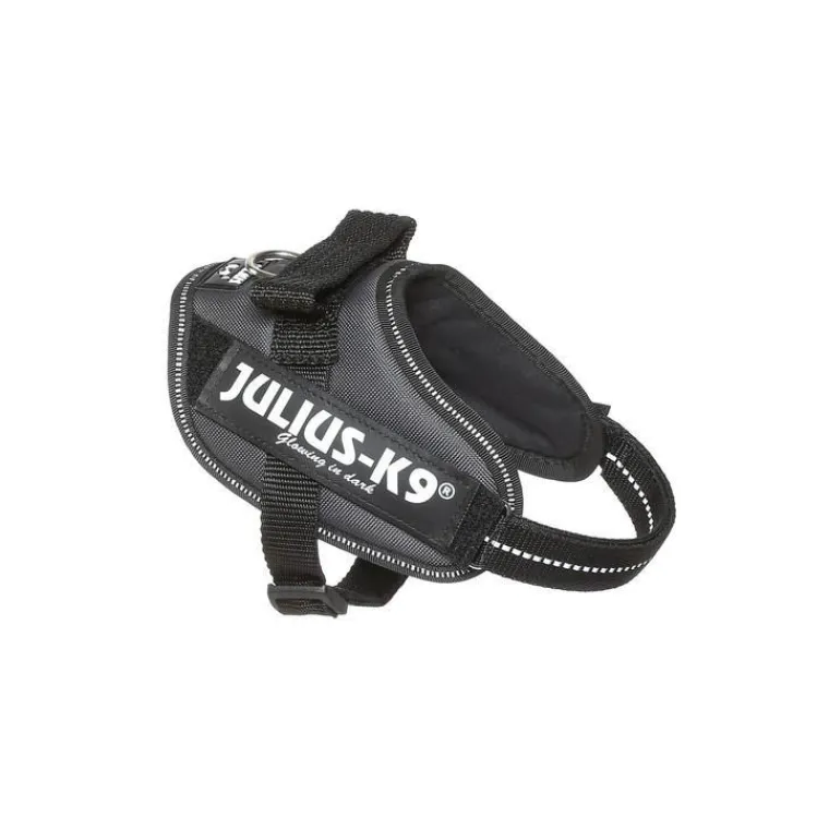 JULIUS-K9 Julius IDC Mini-Mini gris foncé