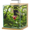 ZOLUX Kit aquarium Jalaya XL coloris chêne clair – 25 x 25 x 30 cm